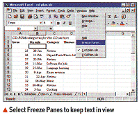 Select Freeze Panes to keep text in view 