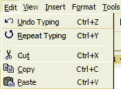 The Edit Menu-showing the icons and keyboard shortcuts (note the UNDO selections)