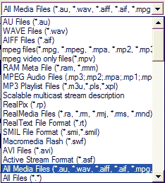 Real Audio Player supported file formats