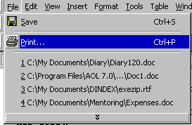 The FILE menu showing PRINT option