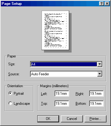PAGE SETUP dialogue from MSPaint